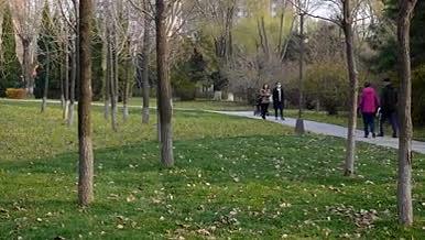公园人文景观视频素材视频的预览图